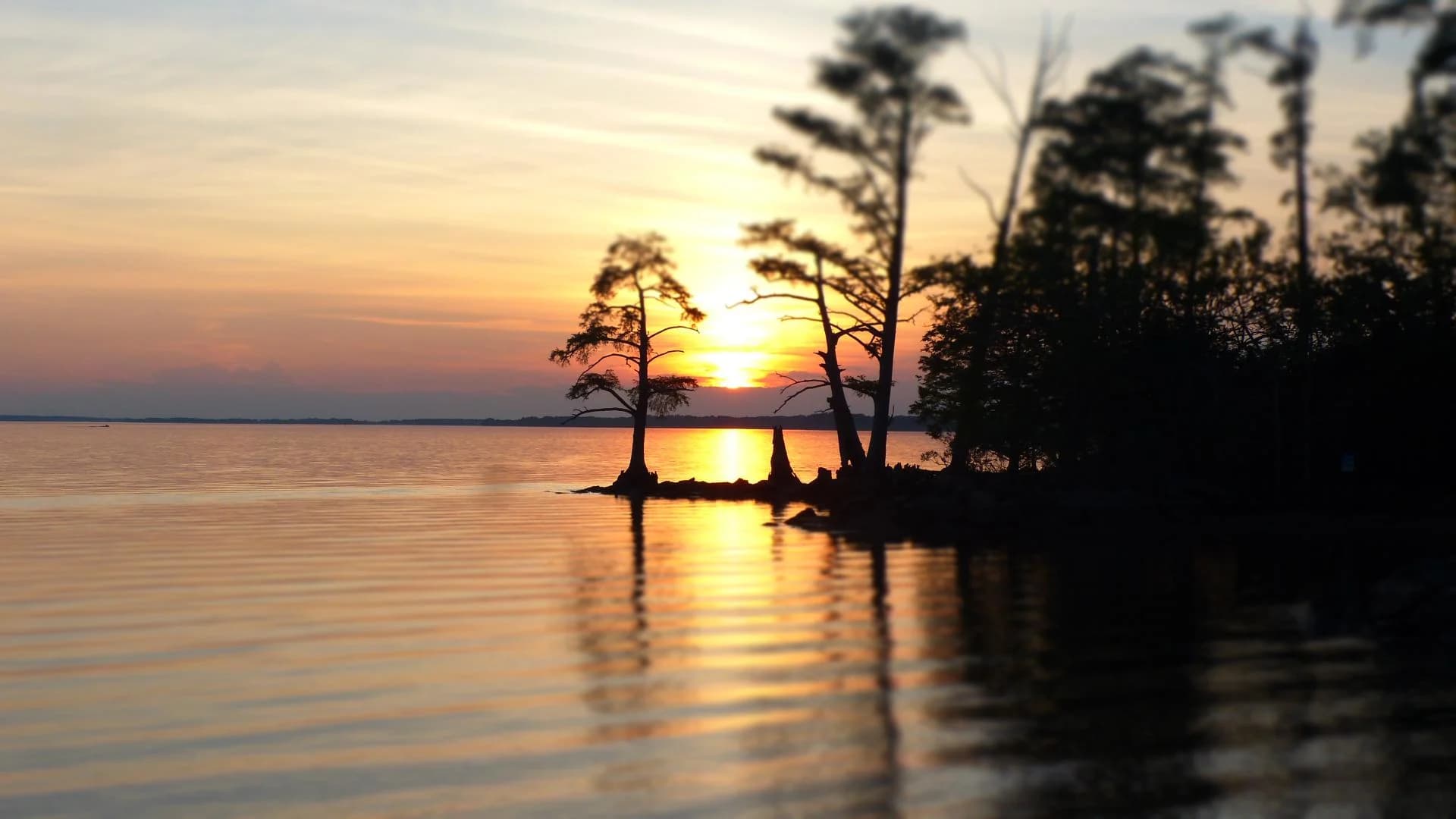 Picture of Find or get answers from employees